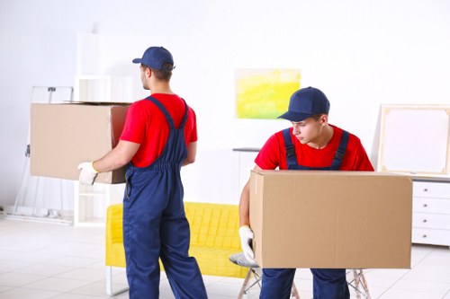 Professional removalists assisting with a move in Broadmeadows