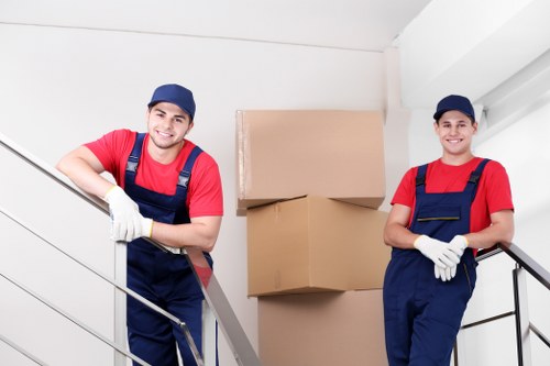 Professional removalists assisting with a move in Mount Gravatt