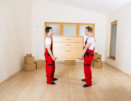 Experienced removalists assisting with packing in North Sydney.